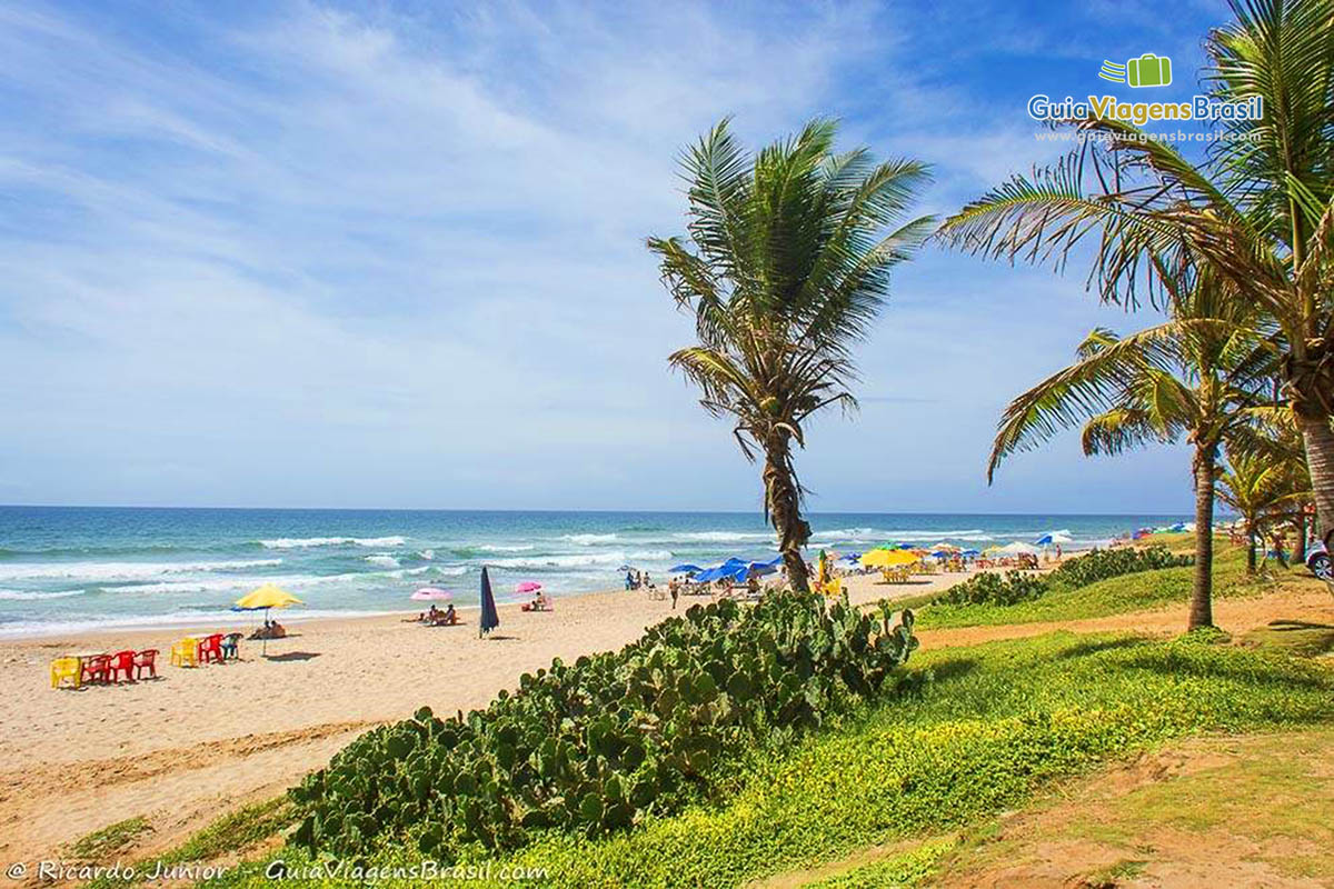 Imagem do lindo verde da vegetação que possui na Praia Stella Maris.