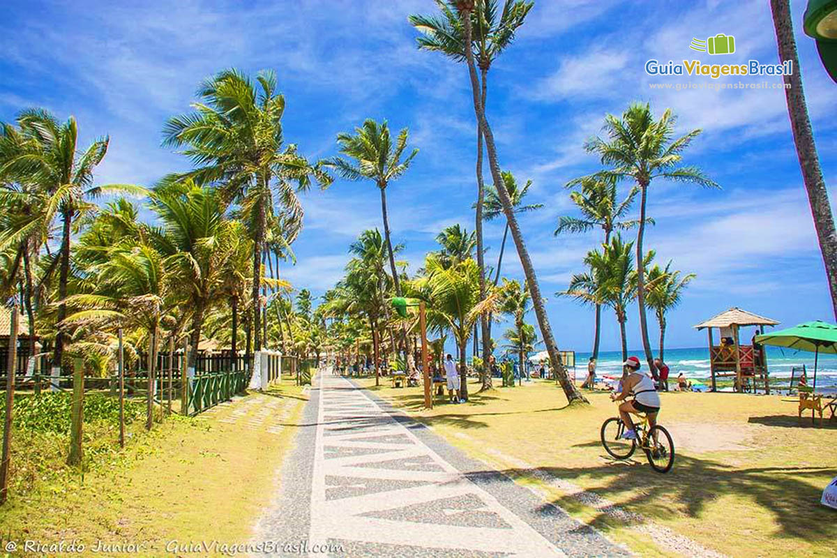 Imagem do calçadão da Praia Vilas do Atlântico com os belos coqueiros.