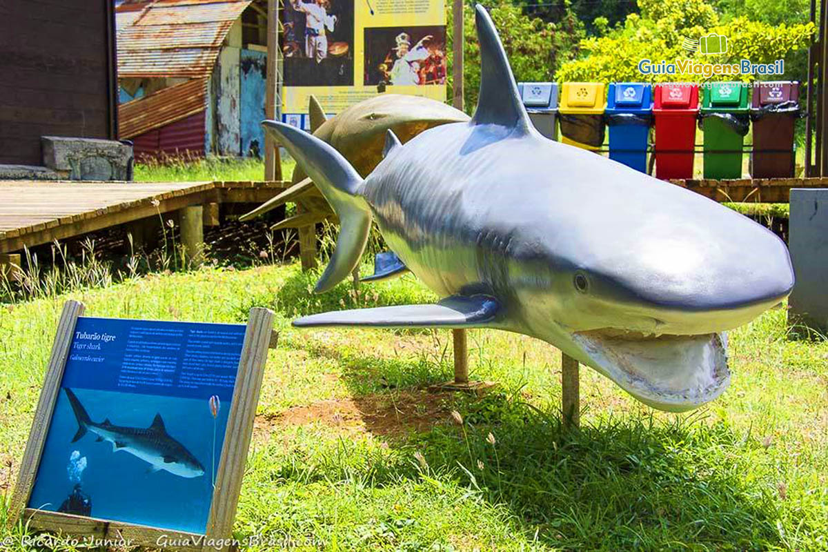 Imagem de uma réplica de uma tubarão, em Fernando de Noronha, Pernambuco, Brasil.