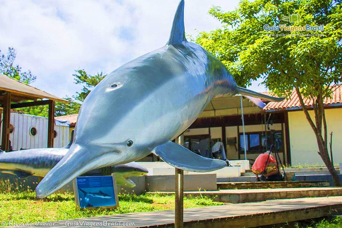 Imagem  de uma réplica de um golfinho, em Fernando de Noronha, Pernambuco, Brasil.