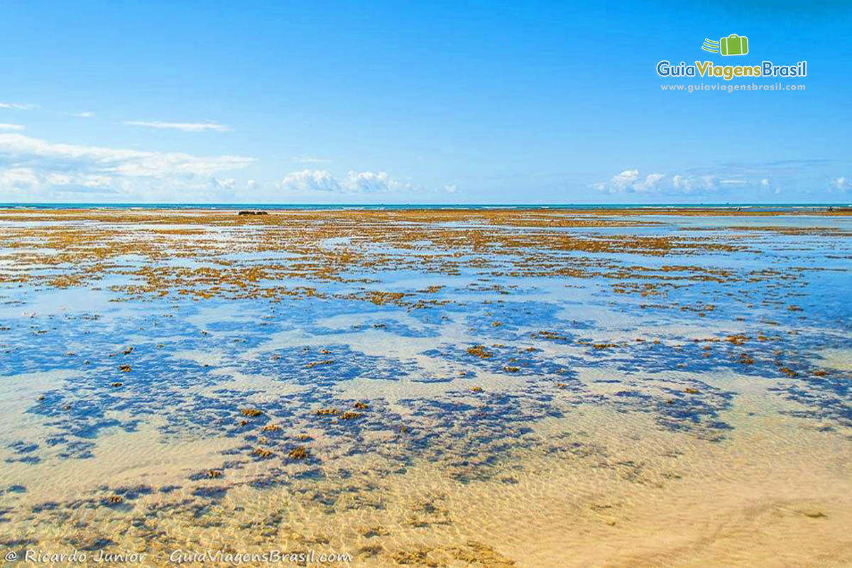 Imagem das águas cristalinas da Quarta Praia.