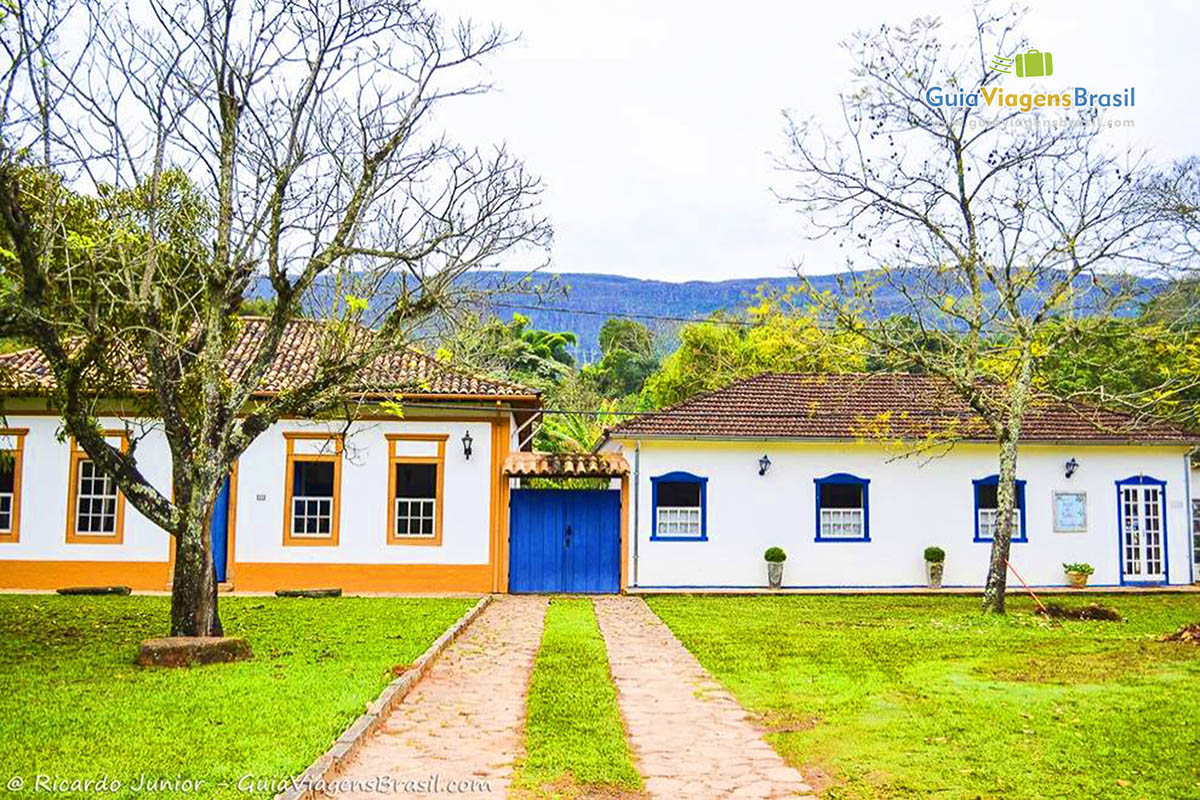 Imagem de linda árvore na frente das casas, em Tiradentes.