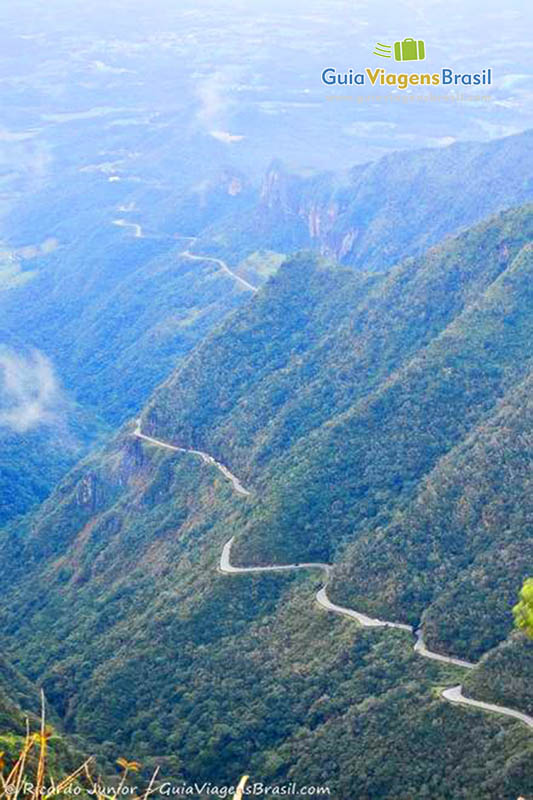 Imagem da Serra do Rio do Rastro e a Mata Atlântica.