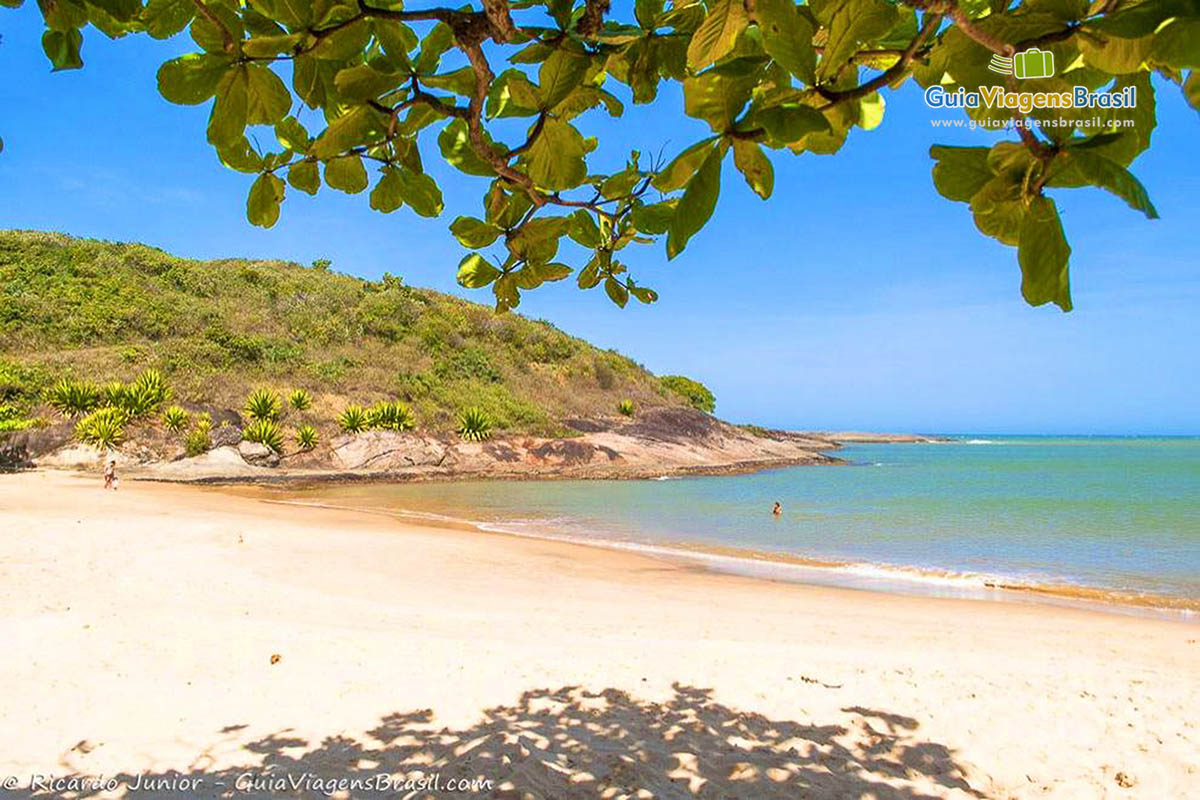 Imagem da sombra de uma árvore e a bela Praia Bacutia.