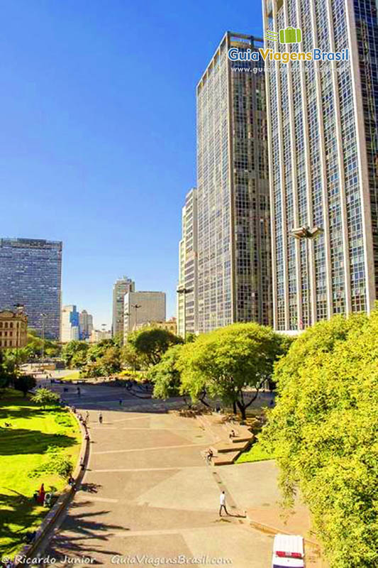 Imagem da vista para área verde e prédios no centro de São Paulo.