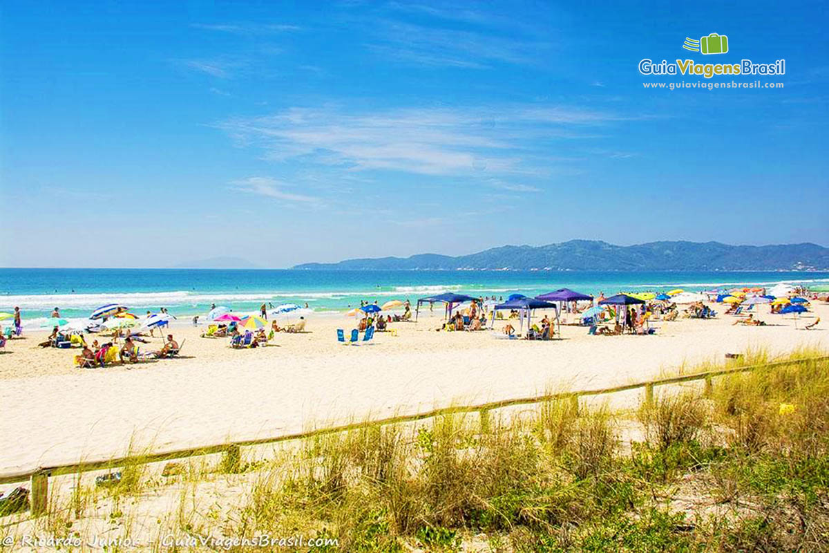 Imagem de varios guarda sol na faixa de  areia larga e ao fundo o mar Praia Mariscal.