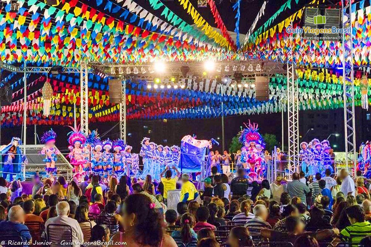 Imagem dos visitantes da Festa do Bumba Meu Boi.