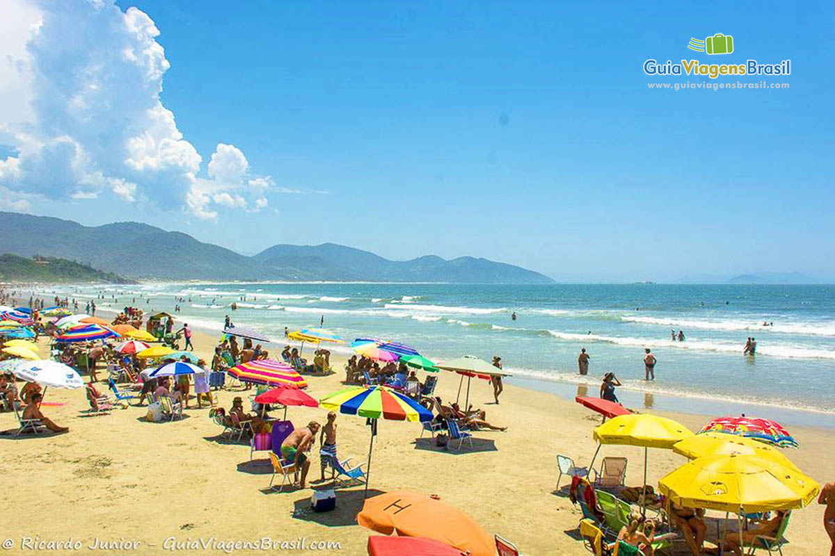 Imagem de guarda sol coloridos pelas areias da praia.