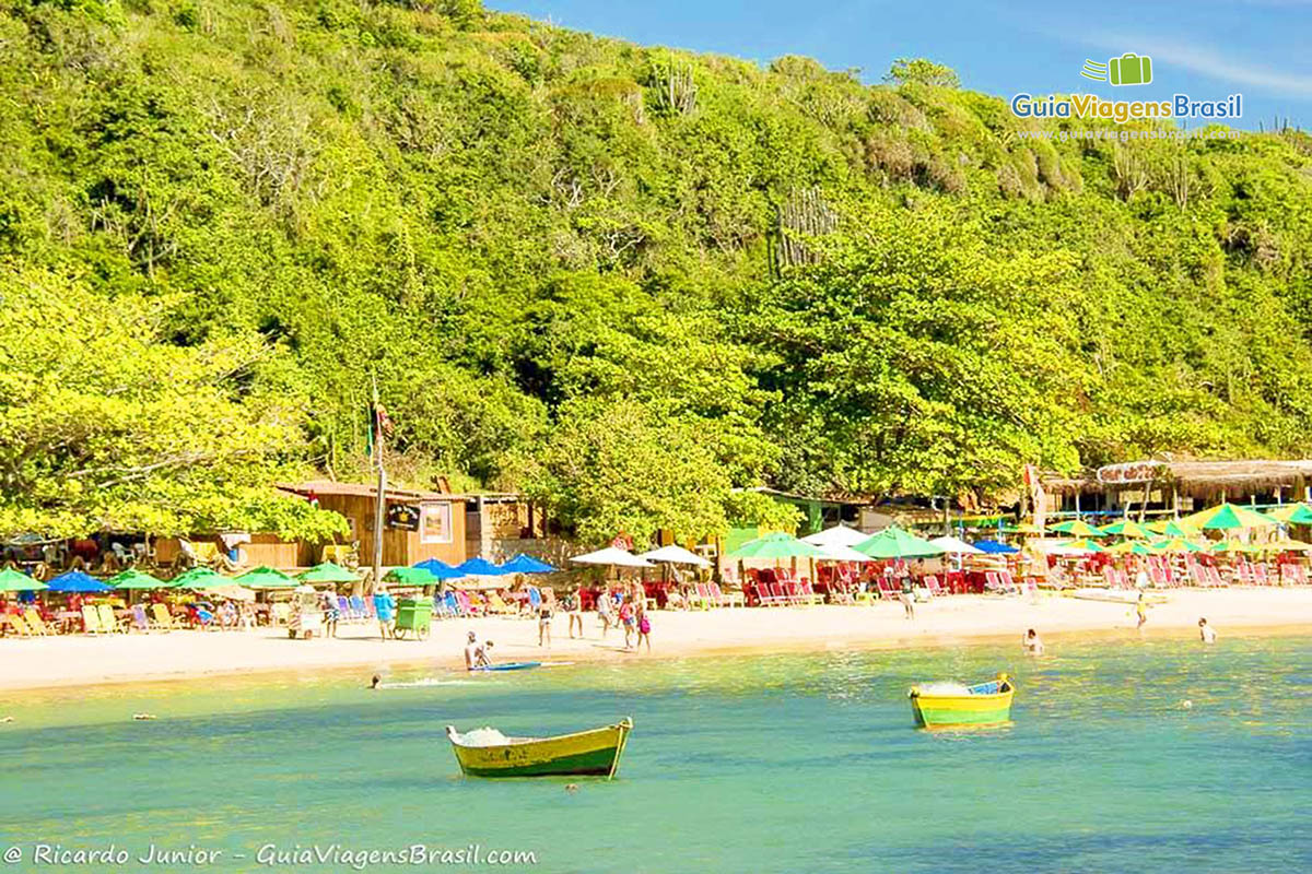 Imagem da linda Praia da Tartaruga e sua preservação.