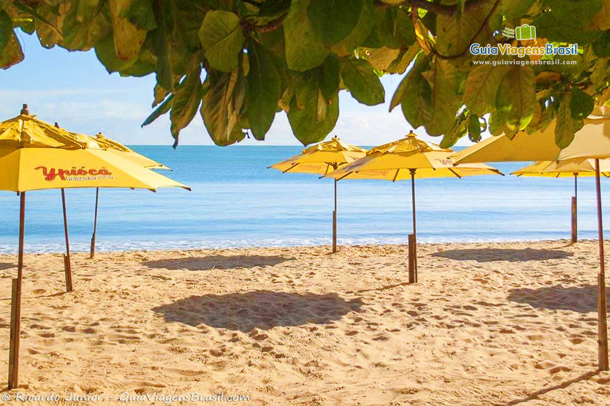 Imagem de guarda sol amarelo nas areias da Praia do Centro.