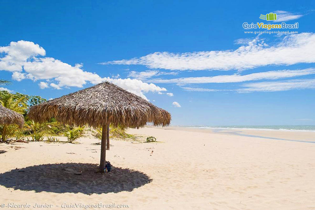 Imagem de guarda sol de sapê para turistas.