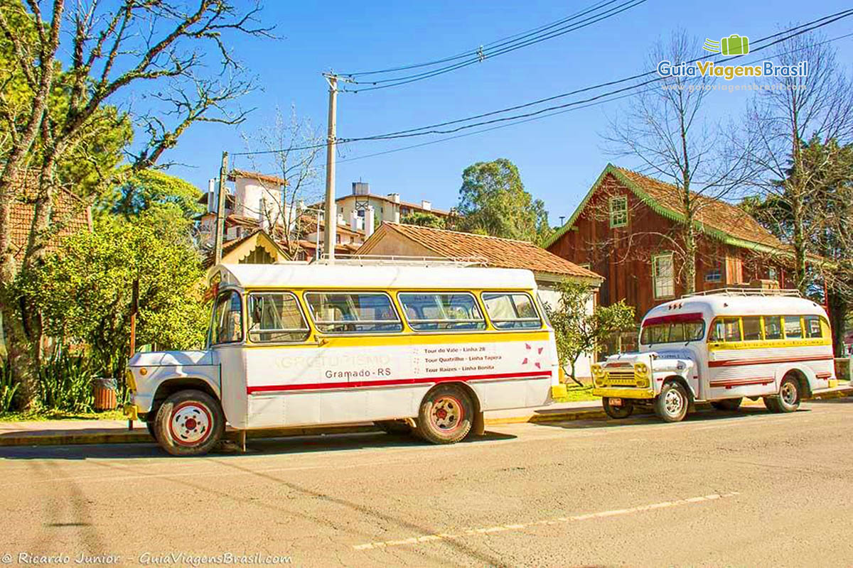 Imagem de três ônibus que levam os turistas para passeio agroturismo.