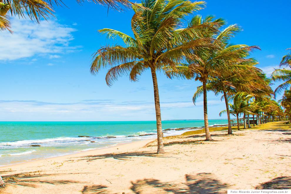 Praia de Caraíva com coqueiros e areia branca.