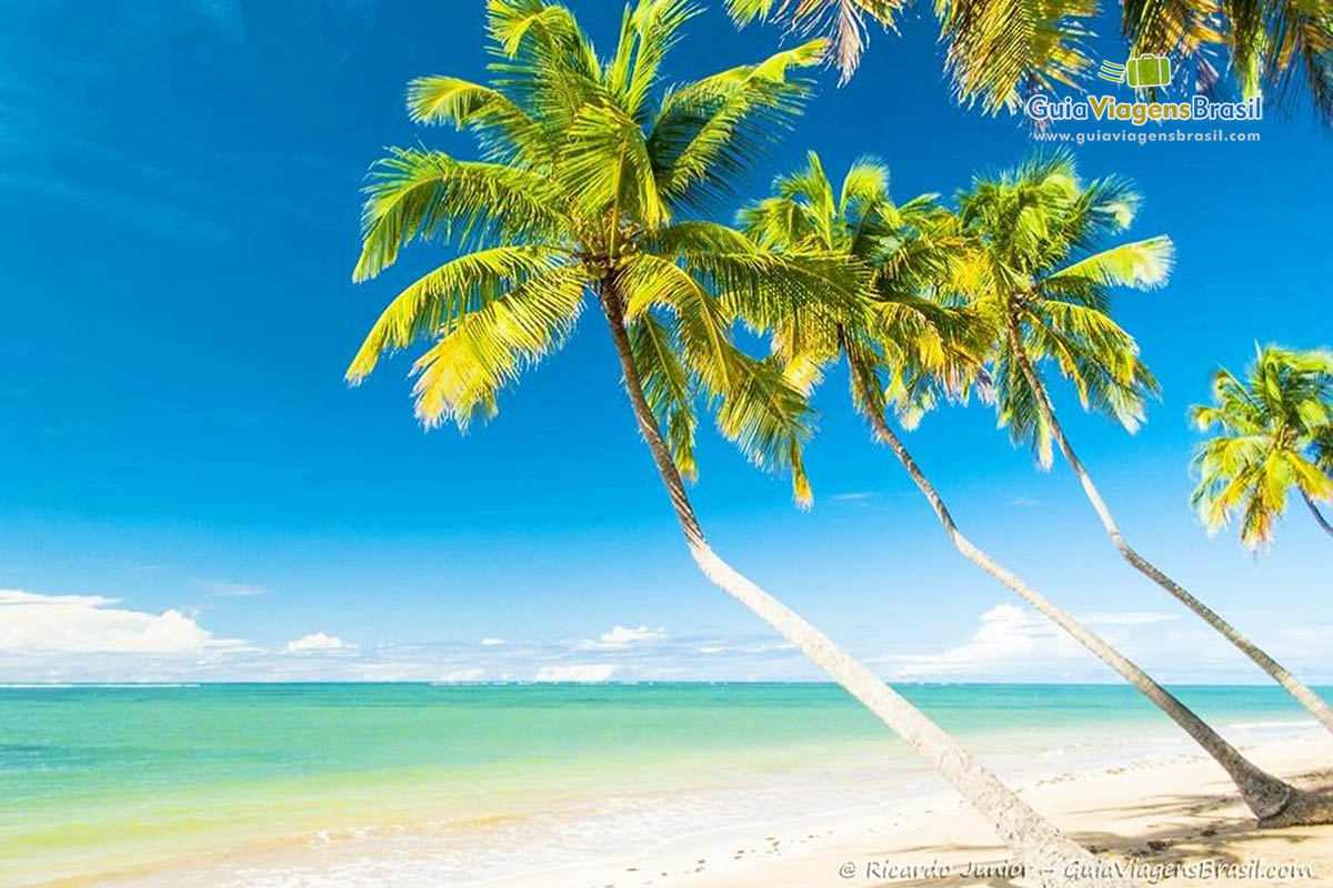 Foto da Praia do Patacho em Alagoas