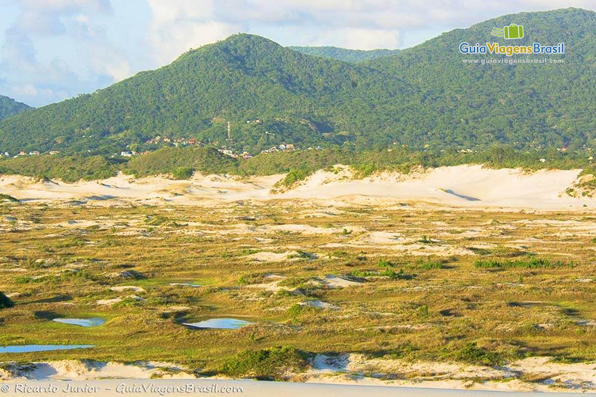 Imagem de um vale nas dunas com vegetação rasteiras sobre a areia.