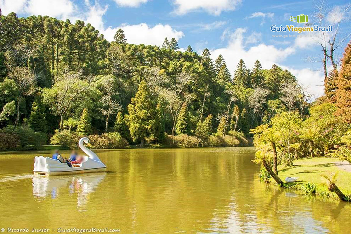 Imagem do lindo lago negro com pedalinhos nas águas.