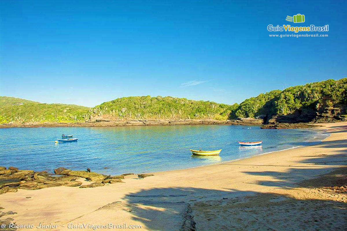 Imagem de sombras das árvores da areia da praia e no mar barcos de pescadores parados.