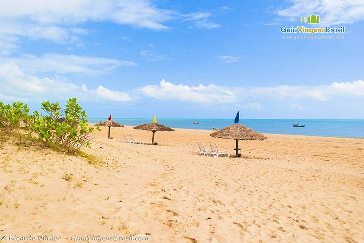 Imagem de vários guarda sol de sapê na areia da bela Praia do Maceió.