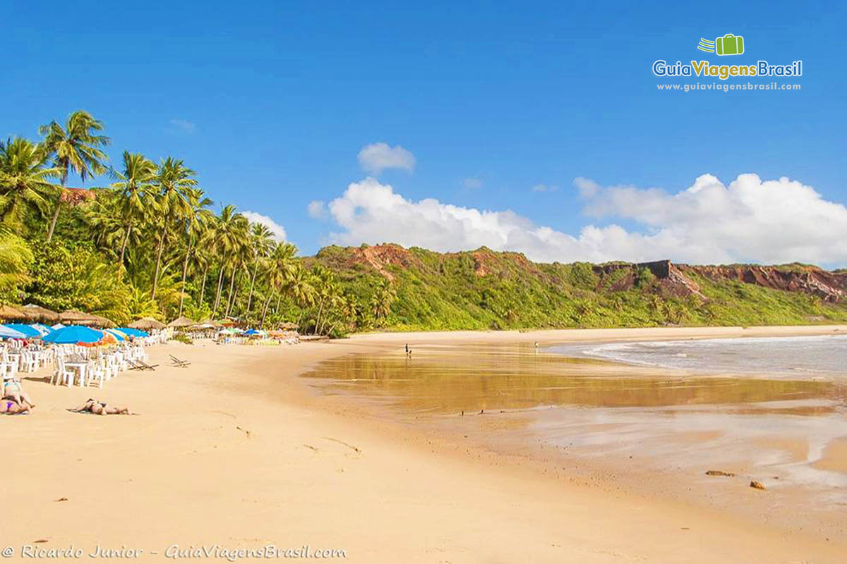 Image da praia e ao fundo os belíssimos coqueiros. 