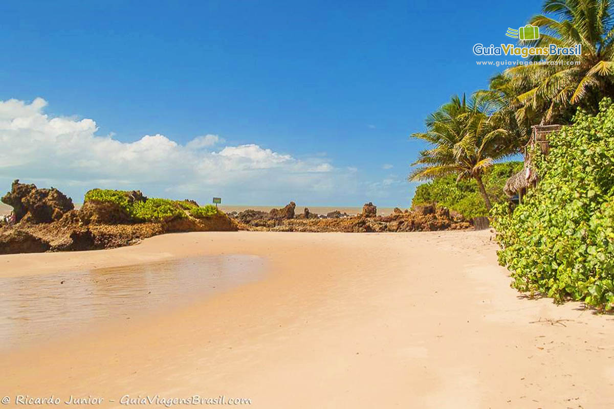 Imagem das águas cristalinas da praia paradisíaca.