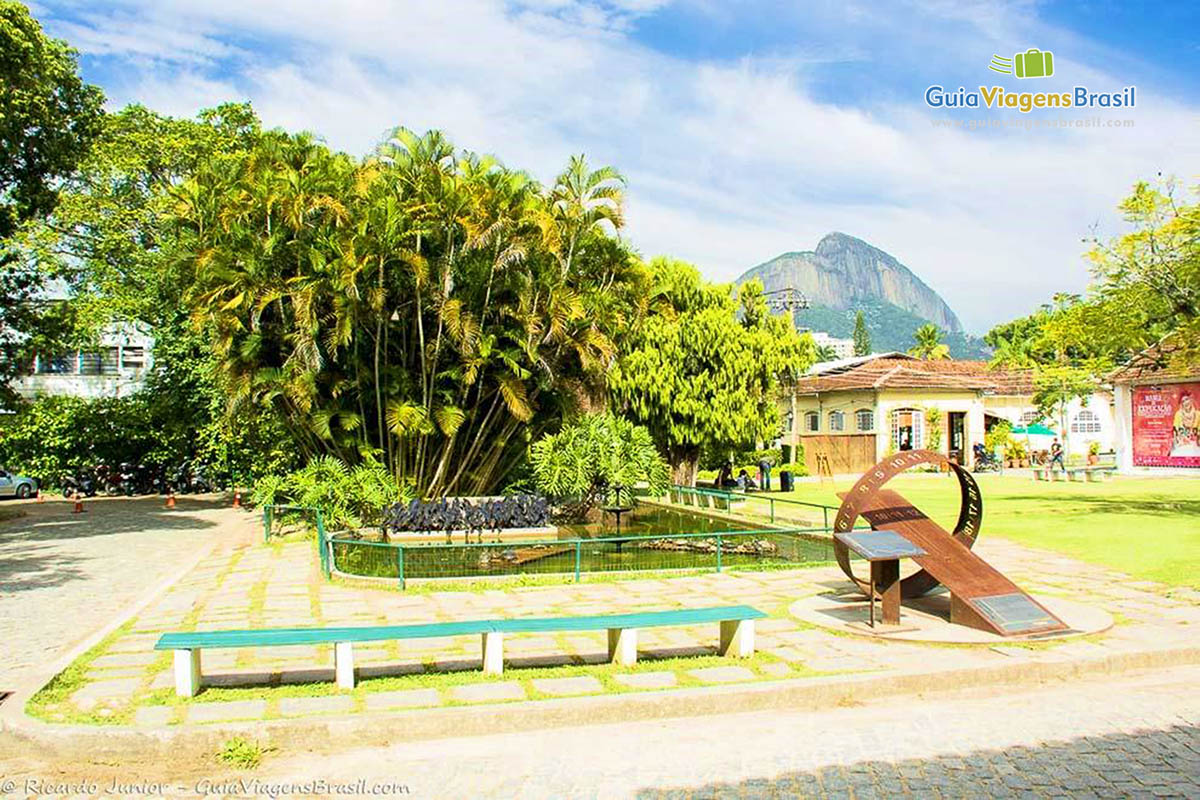 Imagem das belas árvores do Jardim Botânico.