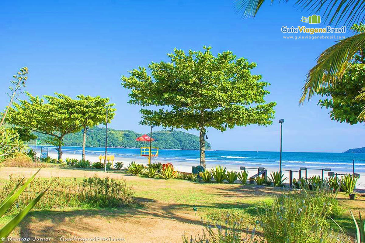 Imagem da bela natureza da Praia da Baleia.