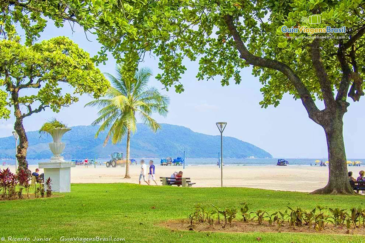 Imagem de um belo jardim na orla da linda Praia em Santos.