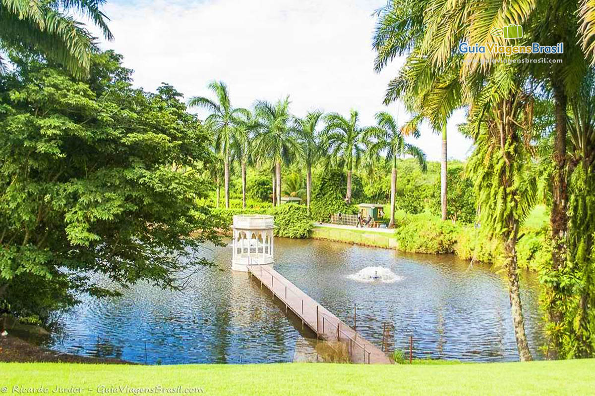 Imagem do lindo lago no Museu.