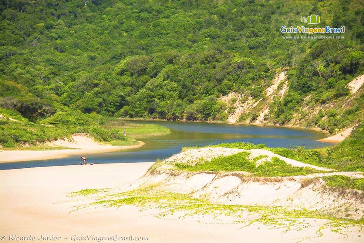 Imagem da linda vegetação em torno do lago.