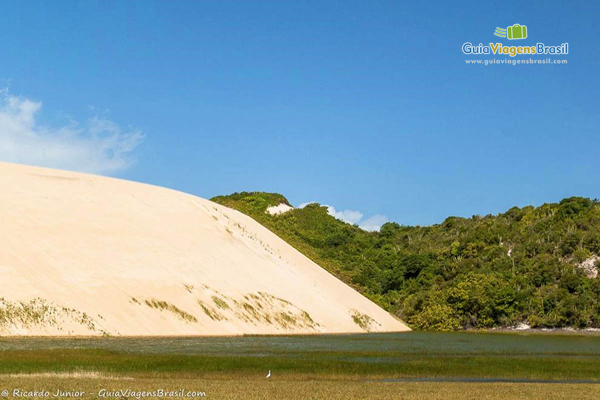 Imagem das belezas naturais da Lagoa.