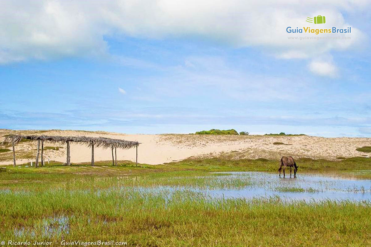 Imagem da bela Lagoa de Pitangui.