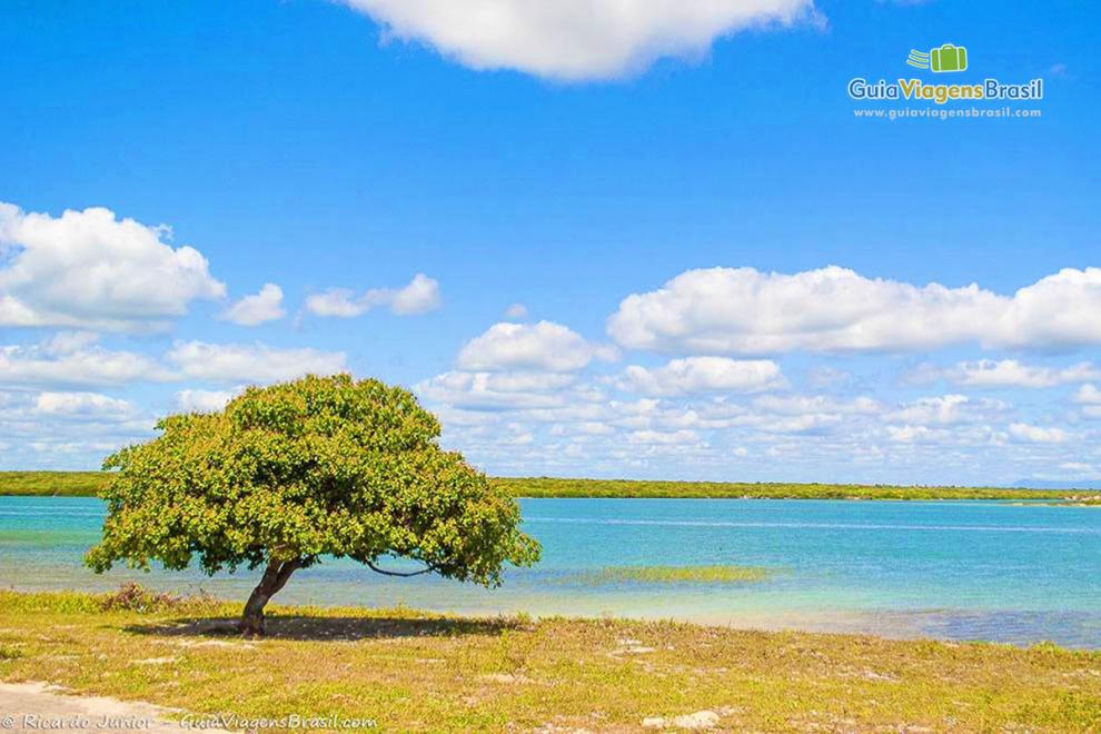 Imagem da linda Lagoa Seca em Camocim.