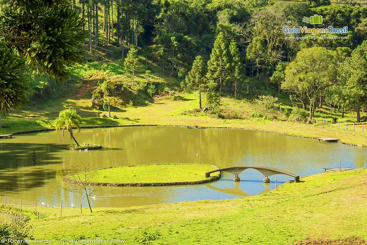 Imagem dos lagos nas Vinícola em Nova Petrópolis.