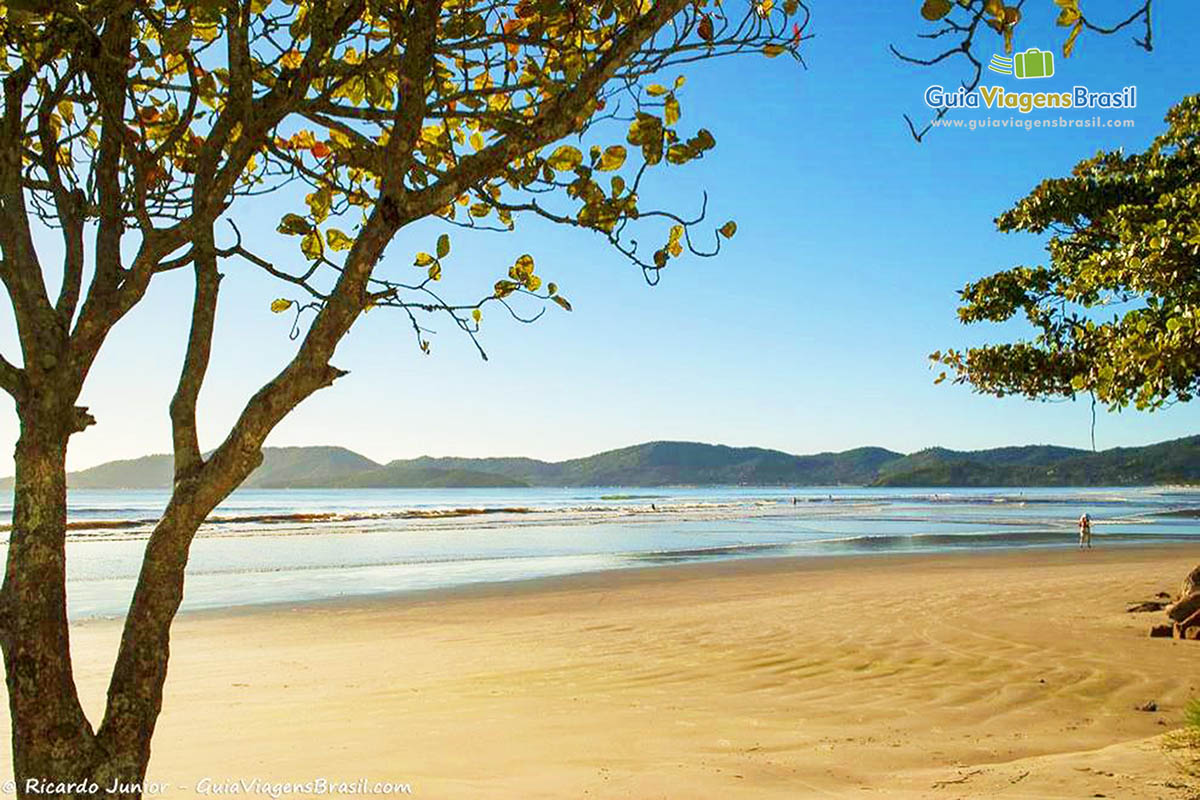 Imagem das belezas da Meia Praia em Itapema.