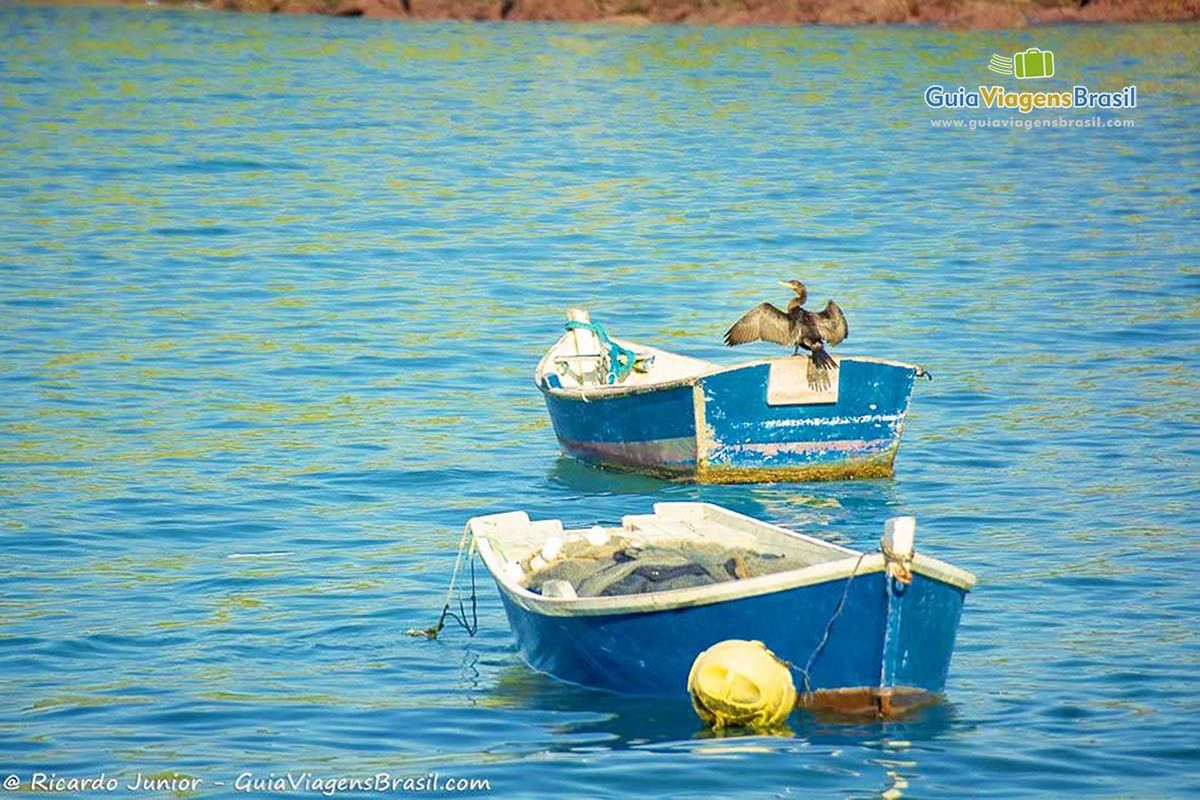 Imagem de dois barcos no mar  e no segundo um pássaro em cima.