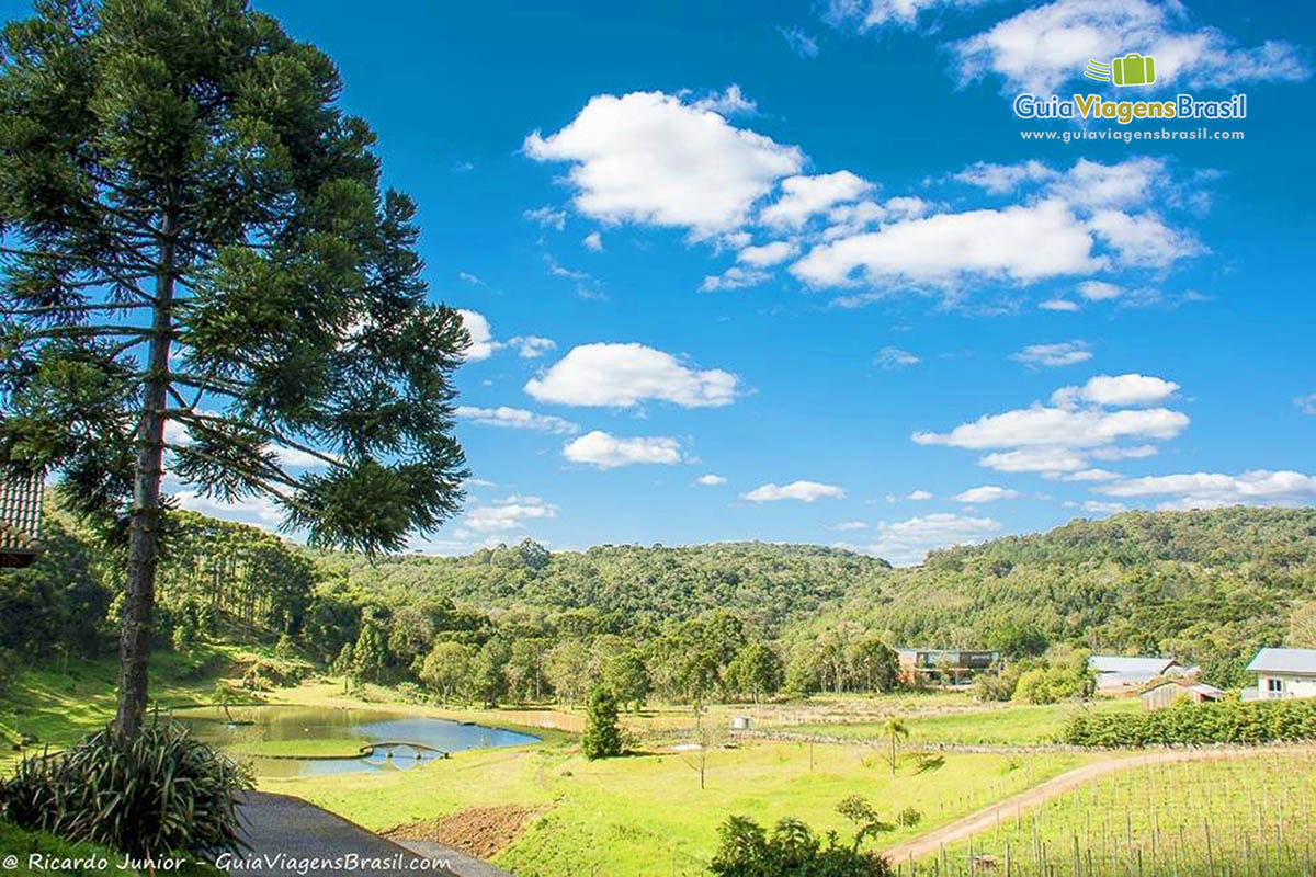 Imagem da linda vinícola do Sul do país.