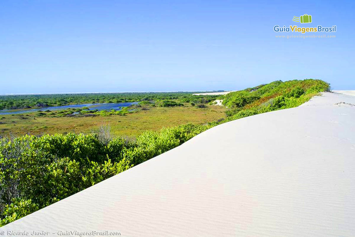 Imagem das dunas e no horizonte a bela vegetação de Santo Amaro do Maranhão.