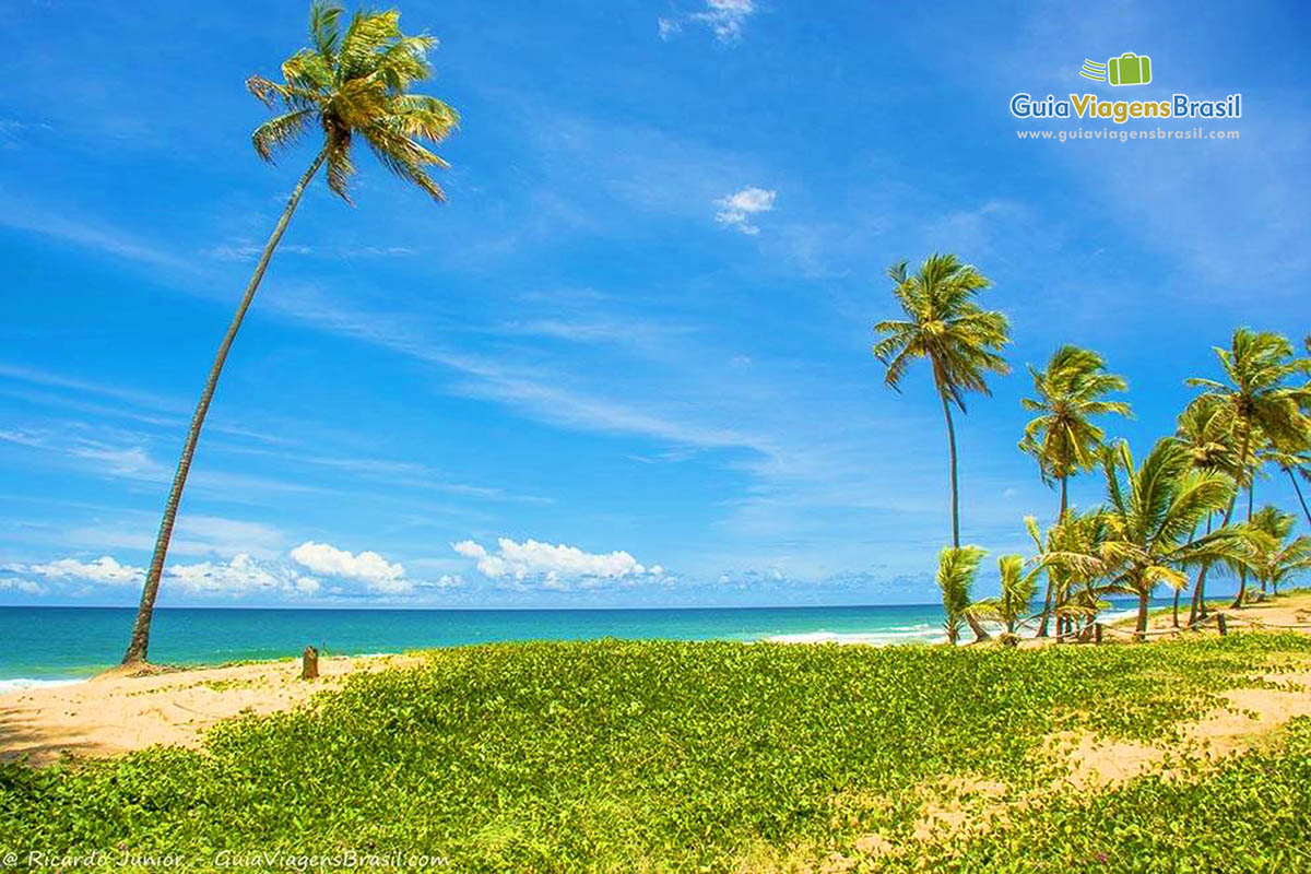 Imagem de uma maravilhosa praia na Aldeia.