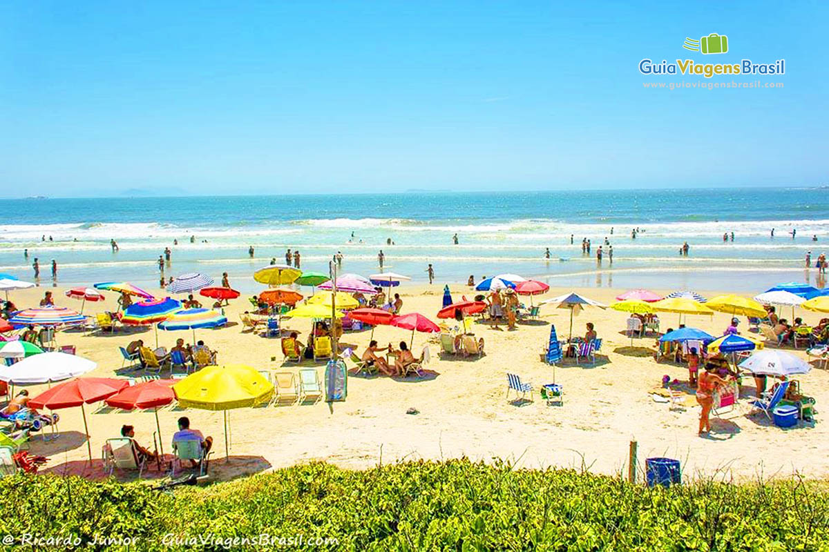 Imagem de uma flores, da faixa de areia com turistas e seus guarda sol e no horizonte  o belo mar.