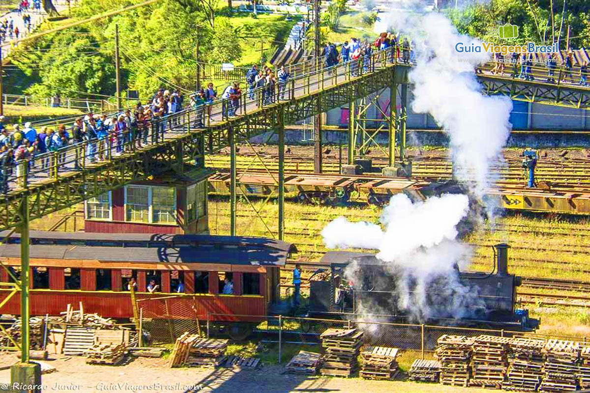 Imagem do trem maria fumaça passando por debaixo da passarela.