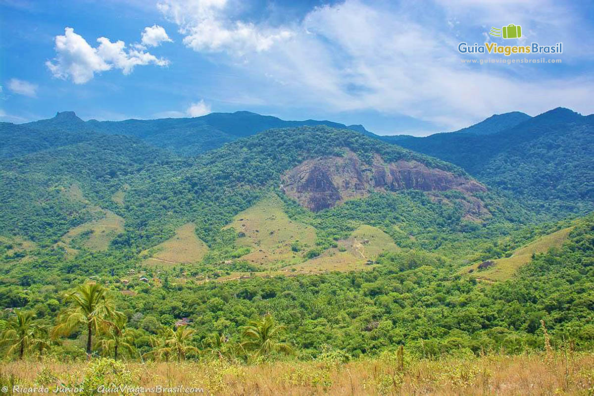 Imagem da mata preservada em Ilhabela.