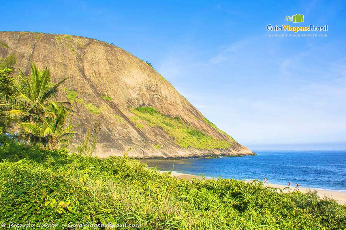 Imagem da vegetação e ao fundo mar e Morro do Elefante.