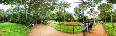 Parque das Aves