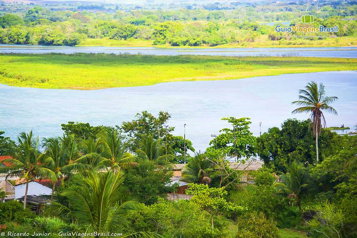 Imagem da linda vegetação em torno do Rio São Francisco.