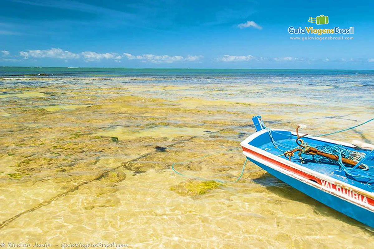 Imagem das transparências das águas das piscinas.