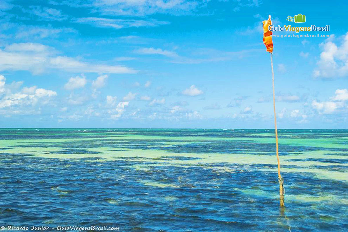 Imagem da maravilhosa piscina de Paripueira em Maceió.