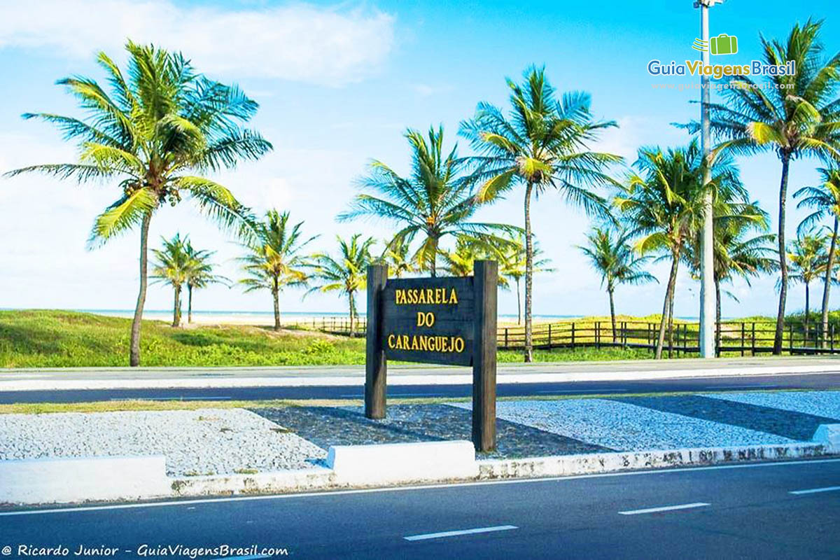 Imagem da placa que indica passarela do caranguejo.