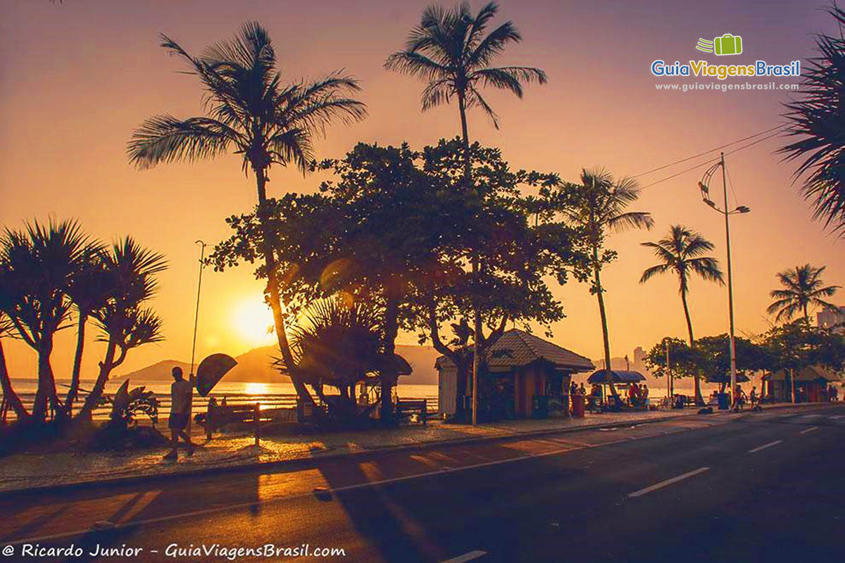 Imagem de lindo por do sol entre as árvores da orla da praia.