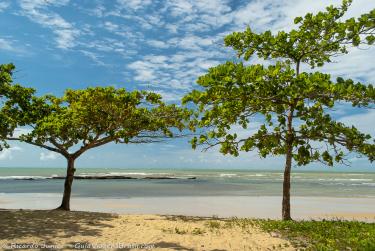 Foto da Praia de Itacimirim, em Porto Seguro, BA – Crédito da Foto: © Ricardo Junior Fotografias.com.br