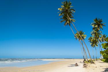 Foto da Praia de Maracaípe, em Porto de Galinhas, PE – Crédito da Foto: © Ricardo Junior Fotografias.com.br